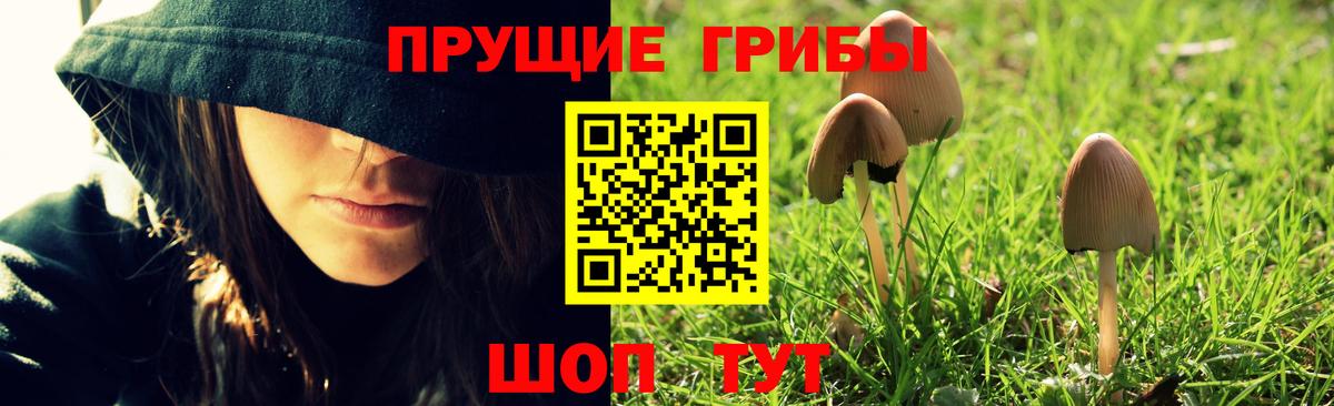 Галлюциногенные грибы Cubensis  наркошоп  Бахчисарай  Вход с VPN  Галлюциногенные грибы MAGIC MUSHROOMS 